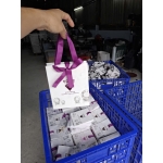Túi Giấy Ivory 10