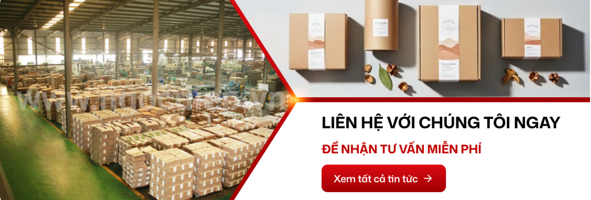 Footer CTA Banner