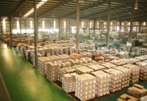 Xu hướng bao bì giấy thân thiện môi trường 2024